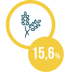 Joyful Woman Outdoors